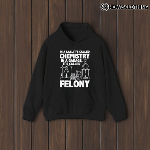 In A Lab It’s Called Chemistry In A Garage It’s Called Felony 2024 T-Shirt2