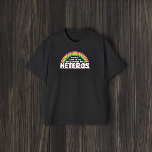 It’s Ok Some Of My Best Friends Are Heteros T-Shirt2