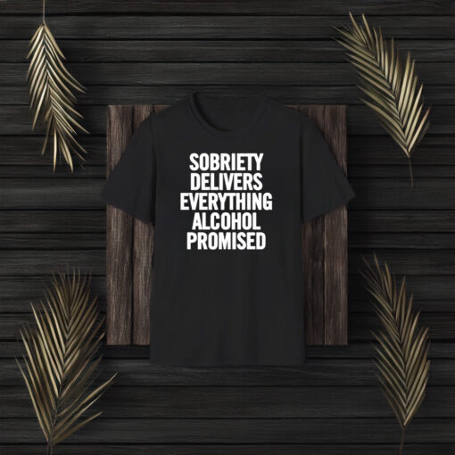 Sobriety Delivers Everything Alcohol Promised 2024 T-Shirt3