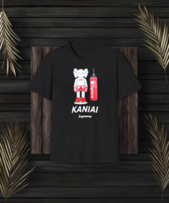 Supreme Kaniai Bearbrick Boxing T-Shirt