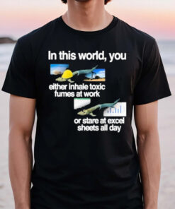 In This World You Either Inhale Toxic Fumes At Work Or Stare At Excel Sheets All Day T-Shirt2