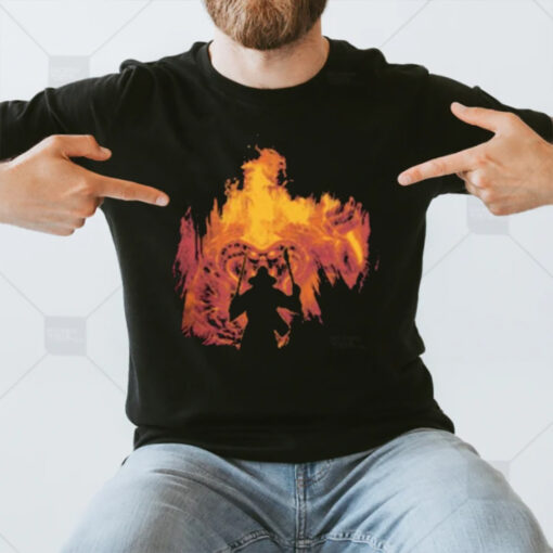 You Shall Not Pass T-Shirt3