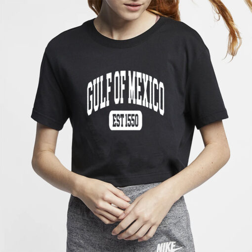 Gulf of Mexico T-shirt, Gulf of Mexico Est 1550 Shirt, Subtle Anti Trump Shirt, Gulf Coast T-shirt, Mexican Beach Crewneck Tee, Liberal Gift